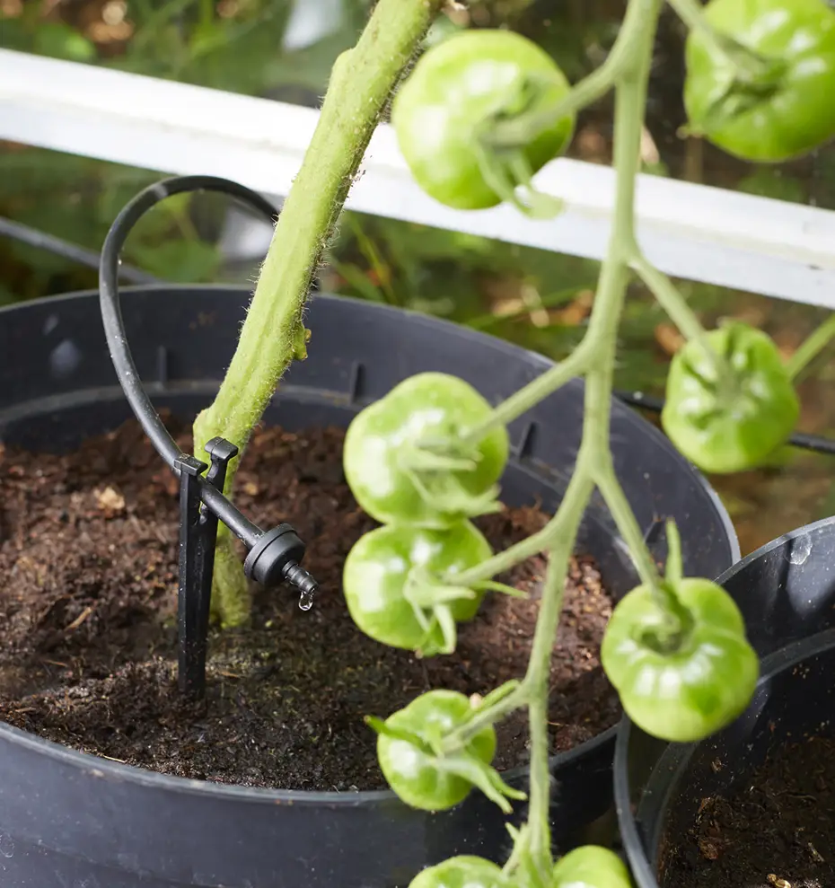 C24 Automatic Solar Powered Watering System (includes 12 Drippers) 5 C24 Automatic Solar Powered Watering System (includes 12 Drippers) - Image 3