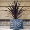 Windsor Box - Clayfibre -CHARA Garden Shop 2 21 png