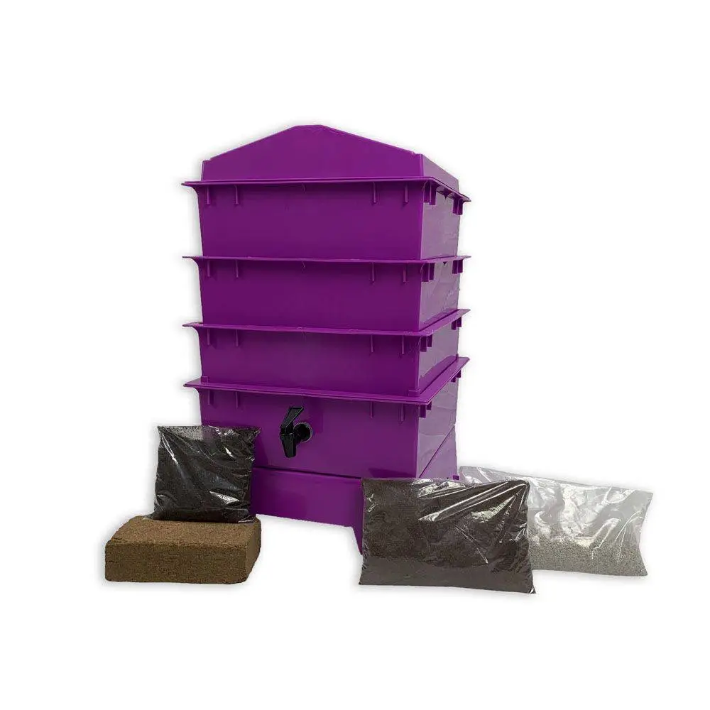 3 Tray Standard Tiger Rainbow Wormery Dark Orchid Purple 3 3 Tray Standard Tiger Rainbow Wormery Dark Orchid Purple