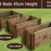 45cm High Single Raised Beds - Blackdown Range - 50cm Wide 2 45cm High Single Raised Beds - Blackdown Range - 50cm Wide -CHARA Garden Shop 45cm high single raised beds blackdown range 1 1 1 1 jpg
