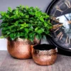 Decorative Hammered Planter Bowl -CHARA Garden Shop ac19c 2 2 jpg