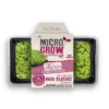 Micro-Grow Kit - Basil -CHARA Garden Shop basil classic jpg