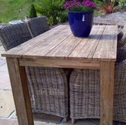 CHARA Garden Shop -CHARA Garden Shop blackberry july 11 095 jpg