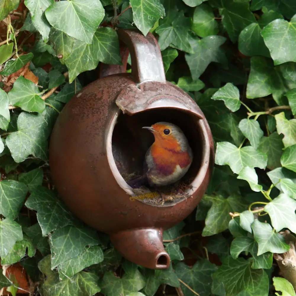 For The Love Of Gardens Gift Pack 7 For The Love Of Gardens Gift Pack - Image 5