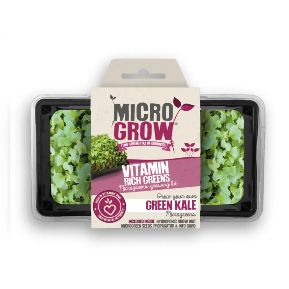 Micro-Grow Kit - Kale (Texael Green) 3 Micro-Grow Kit - Kale (Texael Green)