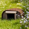 Timeless Hedgehog Haus 1 Timeless Hedgehog Haus -CHARA Garden Shop hh11 putty image1 1500x1500 pix jpg