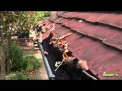 Hedgehog Gutter Brush (12m X 100mm) White -CHARA Garden Shop hqdefault 10 jpg