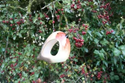 Ceramic Robin Bird Feeder 10 Ceramic Robin Bird Feeder -CHARA Garden Shop img 5404 jpg