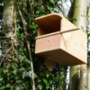 Handmade Kestrel Box -CHARA Garden Shop kestrel box wildlife world jpg