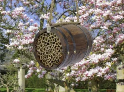 Bee Barrel 14 Bee Barrel -CHARA Garden Shop lifestyle options for label best jpg