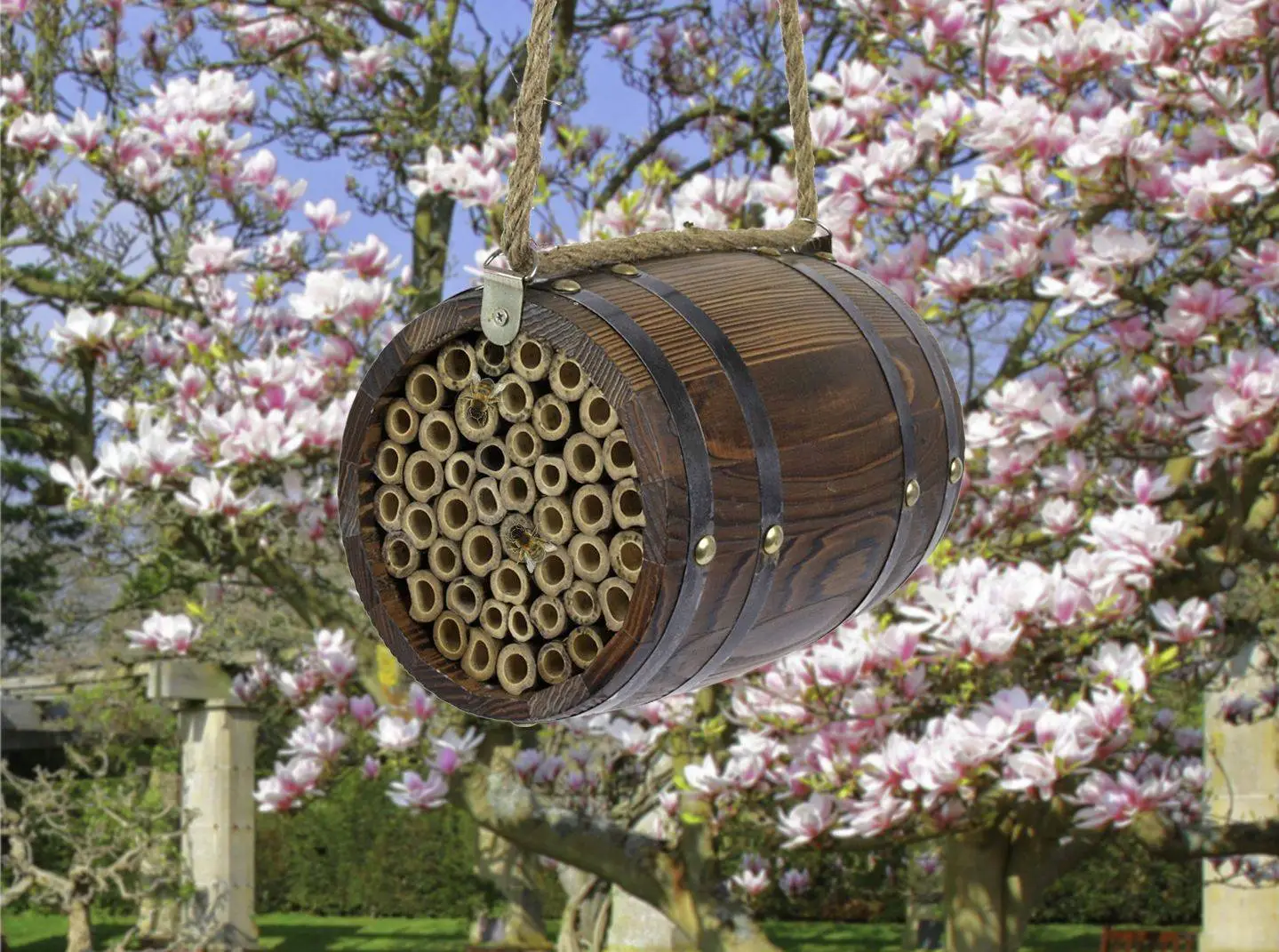 Bee Barrel 8 Bee Barrel - Image 6