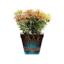 Elho Loft Urban 59cm Reservoir Plant Pot With Wheels 10 Elho Loft Urban 59cm Reservoir Plant Pot With Wheels -CHARA Garden Shop lofturbandoorsnede.u1.png jpg