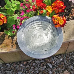 Aristotle Oasis Wildlife Bird Bath -CHARA Garden Shop microsoftteams image 52 jpg