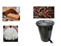 The Midi Wormery -CHARA Garden Shop midi collage 50 1 jpg