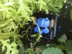 Automatic Plant Watering System Aquabox