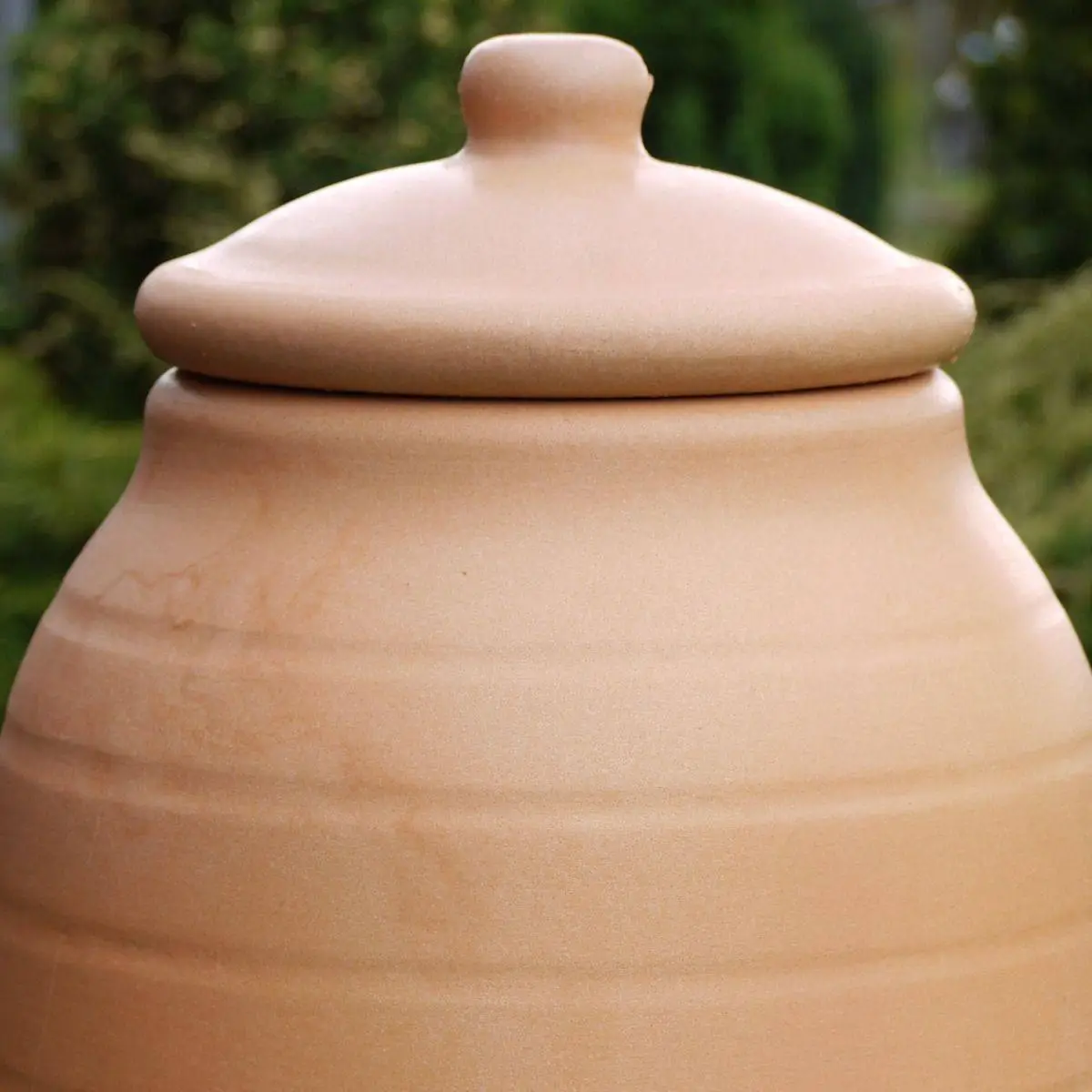 Rhubarb Forcer - Antique Terracotta Effect 5 Rhubarb Forcer - Antique Terracotta Effect - Image 3