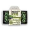 Micro-Grow Kit - Kohl Rabi -CHARA Garden Shop purple kohlrabi png