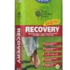 Viano Recovery Organic Lawn Fertiliser 20 KG Bag -CHARA Garden Shop recovery new bag 20kg jpg