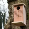 Red Squirrel Nest Box -CHARA Garden Shop red squirrel nest box wildlife world jpg