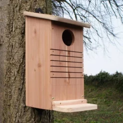 Red Squirrel Nest Box -CHARA Garden Shop red squirrel nest box wildlife world v2 9626d337 67e3 41e7 803a 641c577f3453 jpg