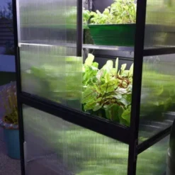 Sprout S10 Solar Powered Self Watering Mini Greenhouse -CHARA Garden Shop s10 night greens 600x600 jpg