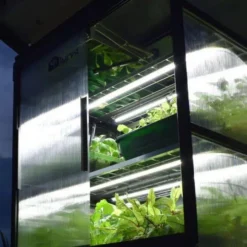 Sprout S10 4 Season Self Watering Mini Greenhouse -CHARA Garden Shop s6 4 lights 600x600 jpg