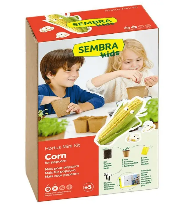 Sembra Kids Corn For Popcorn Vegetable Garden Growing Kit 3 Sembra Kids Corn For Popcorn Vegetable Garden Growing Kit