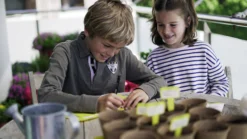 Sembra Kids Herbs Garden Growing Play Kit -CHARA Garden Shop sembra kids herbs labelling 1 jpg