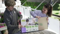 Sembra Kids Herbs Garden Growing Play Kit -CHARA Garden Shop sembra kids herbs pack with girl boy opening 1 jpg