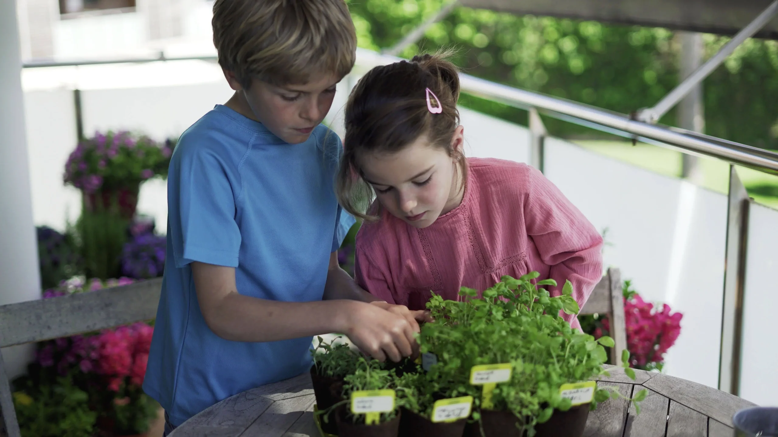 Sembra Kids Herbs Garden Growing Play Kit - Image 4