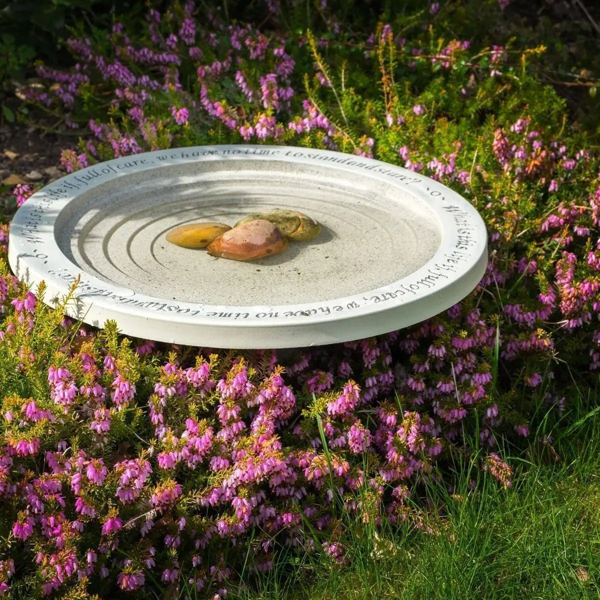 Shenstone Theatre Bird Bath And Drinker 3 Shenstone Theatre Bird Bath And Drinker