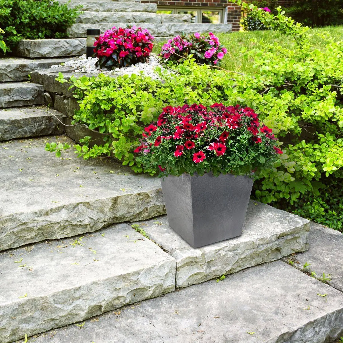 CHARA Garden Shop -CHARA Garden Shop sonata 2033cm 20pewter 20 20step 20resized 1620e4c8b9b6af jpg