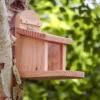 Squirrel Feeder 1 Squirrel Feeder -CHARA Garden Shop squirrel feeder wildlife world jpg