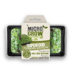 Micro-Grow Kit - Kale (Red Russian)