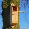 Tawny Owl Nest Box 2 Tawny Owl Nest Box -CHARA Garden Shop tawny owl nest box wildlife world jpg