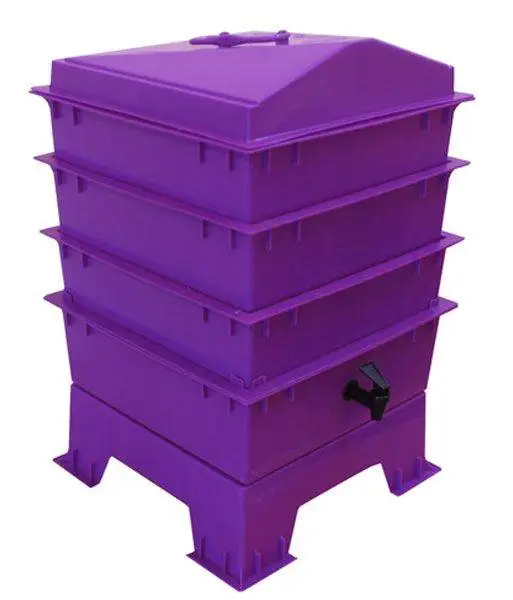 3 Tray Standard Tiger Rainbow Wormery Dark Orchid Purple 4 3 Tray Standard Tiger Rainbow Wormery Dark Orchid Purple - Image 2