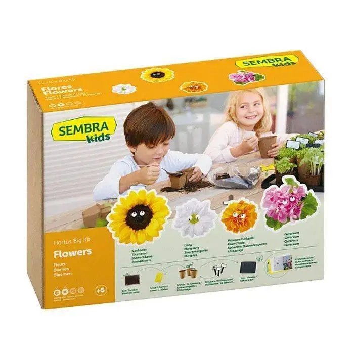 Summer Flowers Garden Growing Play Kit 3 Summer Flowers Garden Growing Play Kit
