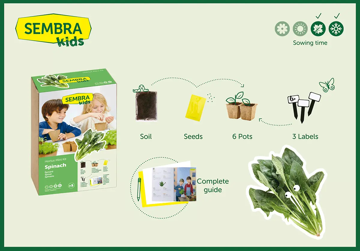 Sembra Kids - Spinach - Vegetable Garden Kit 6 Sembra Kids - Spinach - Vegetable Garden Kit - Image 4