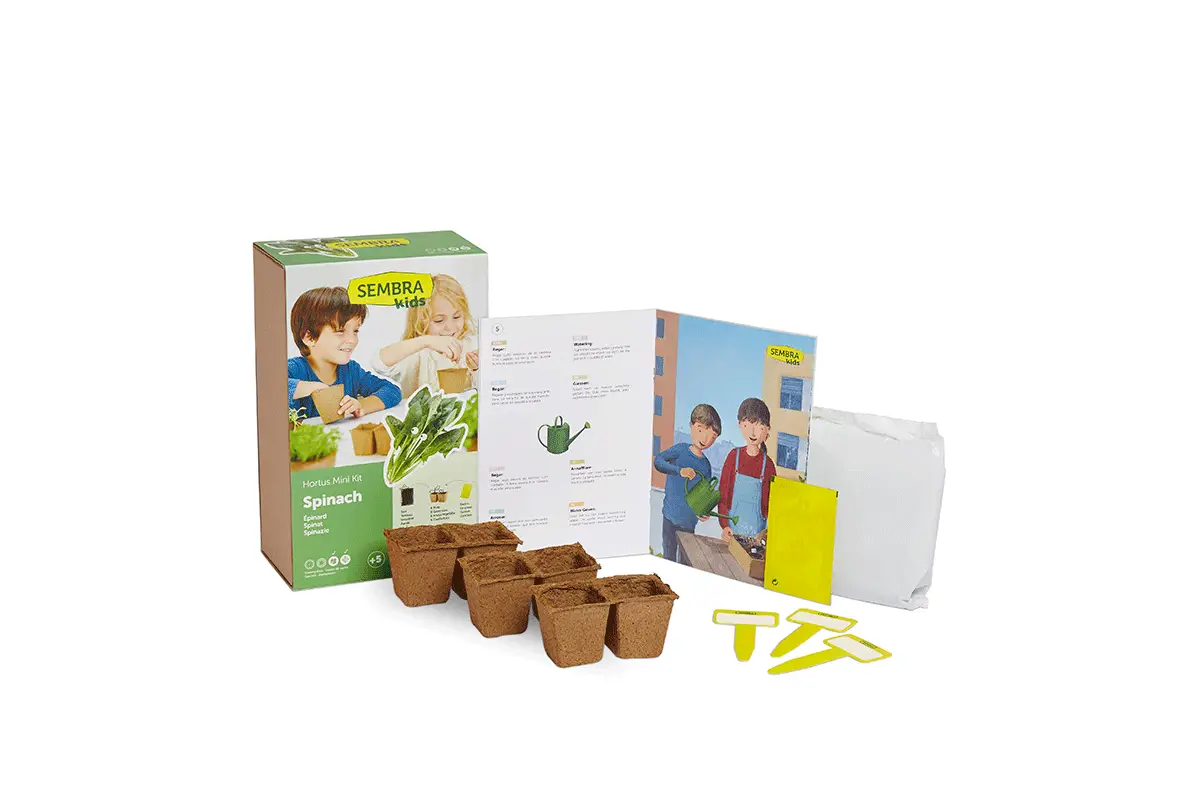Sembra Kids - Spinach - Vegetable Garden Kit 4 Sembra Kids - Spinach - Vegetable Garden Kit - Image 2