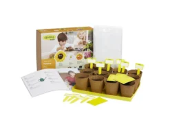 Summer Flowers Garden Growing Play Kit 9 Summer Flowers Garden Growing Play Kit -CHARA Garden Shop traditional garden games sembra big summer flower kit open web 1 jpg