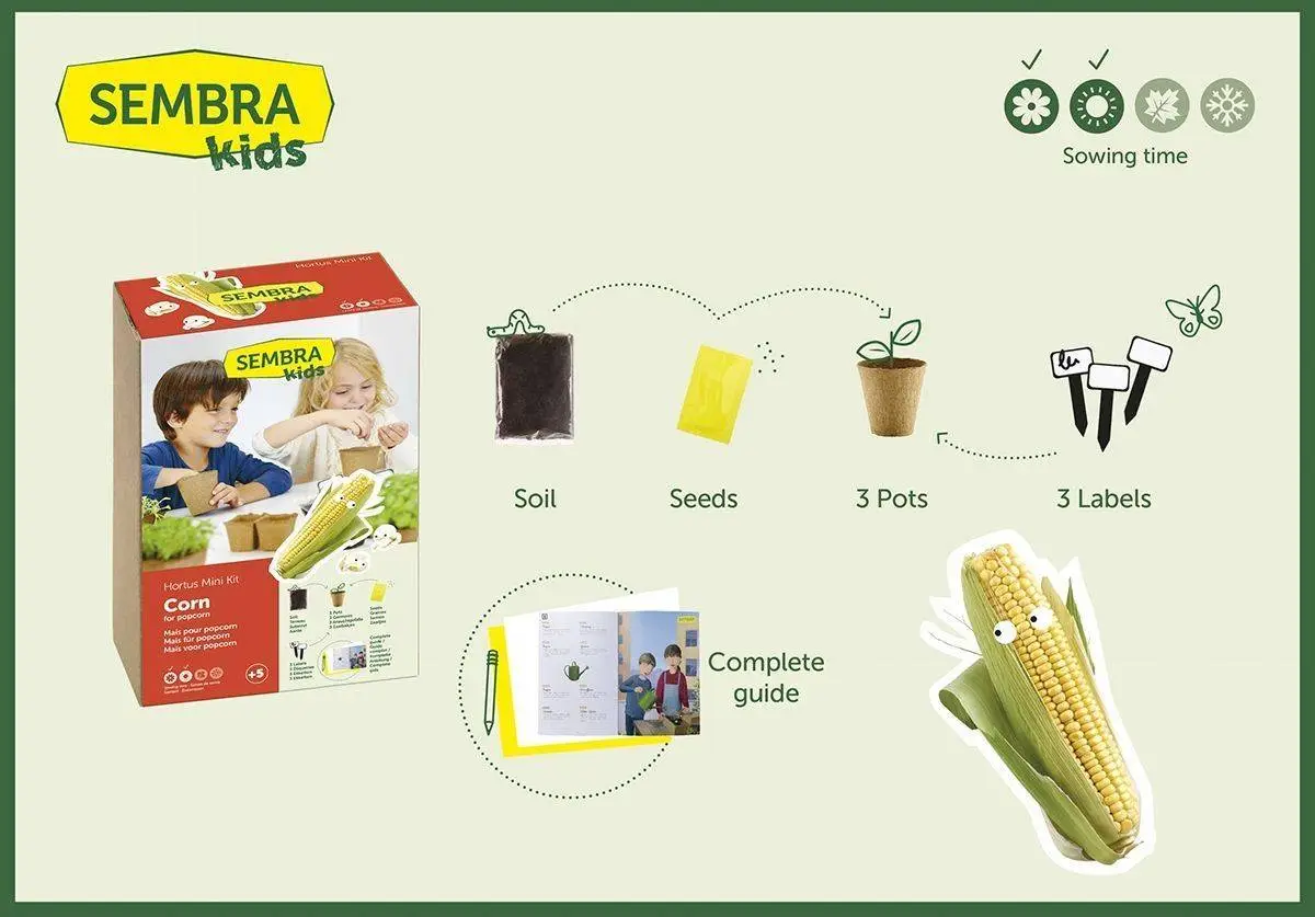 Sembra Kids Corn For Popcorn Vegetable Garden Growing Kit 4 Sembra Kids Corn For Popcorn Vegetable Garden Growing Kit - Image 2