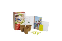 Sembra Kids Corn For Popcorn Vegetable Garden Growing Kit 8 Sembra Kids Corn For Popcorn Vegetable Garden Growing Kit -CHARA Garden Shop traditional garden games sembra corn for popcorn kit open web jpg