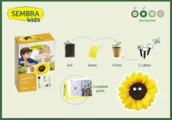 Sembra Kids Sunflower Garden Growing Kit -CHARA Garden Shop traditional garden games sembra sunflower kit contents web jpg