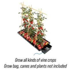 Automatic Plant Watering System - Tray2Grow -CHARA Garden Shop tray2grow grow bag tomatoes caption web jpg
