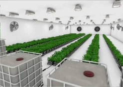 Automatic Planted Watering System - Easy2Grow Kit -CHARA Garden Shop veg phase ii option 2 high res jpg