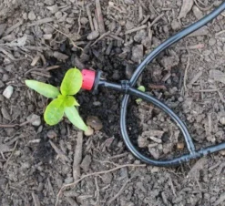 WaterMate Pro Automatic Greenhouse & Polytunnel Watering System 21 WaterMate Pro Automatic Greenhouse & Polytunnel Watering System -CHARA Garden Shop watermate dripper 2 600x549 1 jpg