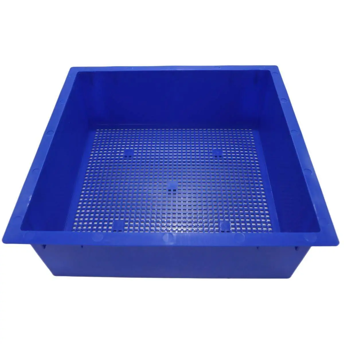 Tiger Wormery Tray In Blue 3 Tiger Wormery Tray In Blue