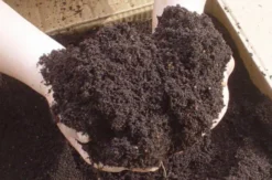 Living Green Worm Compost 100% Organic Vermicompost 40L Bag -CHARA Garden Shop worm castings 1 jpg